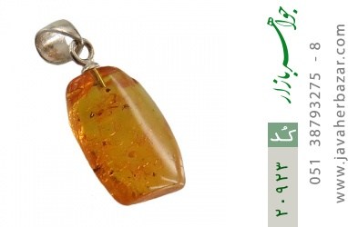 مدال کهربا بولونی لهستان حشره ای زیبا مدال کهربا بولونی لهستان حشره ای زیبا - کد 20923